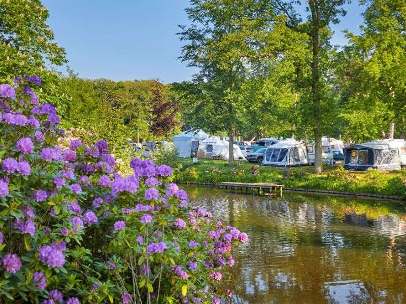 Campsite